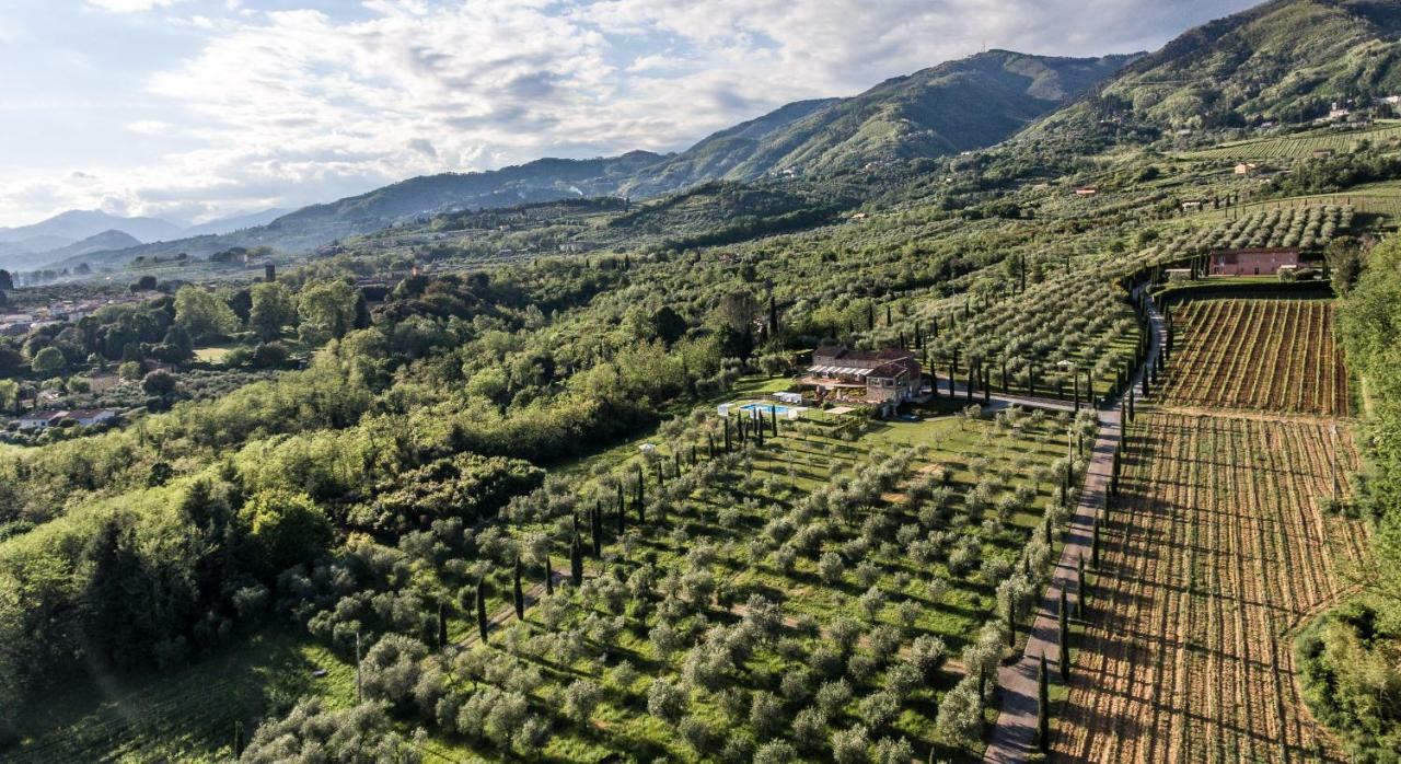 Accogliente Alloggio Con Vista E Piscina ルッカ エクステリア 写真